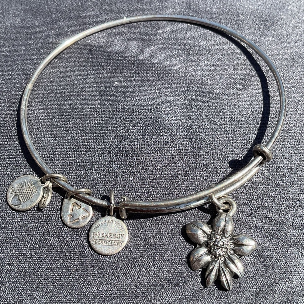 Alex and Ani Retired Apple Blossom Charm Silver Stackable Expandable Bangle - Picture 4 of 4